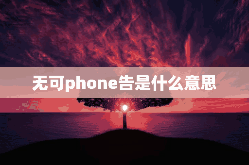 无可phone告是什么意思